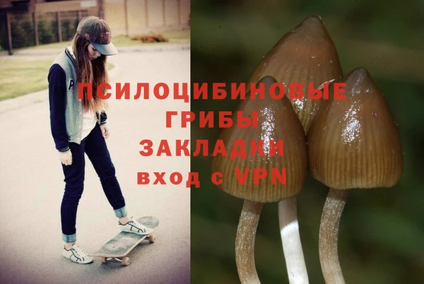гашишное масло Алексеевка