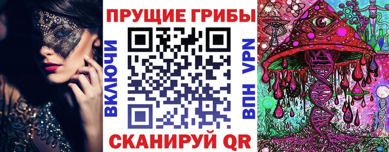 Псилоцибиновые грибы GOLDEN TEACHER  купить  цена  blacksprut рабочий сайт  Амурск 